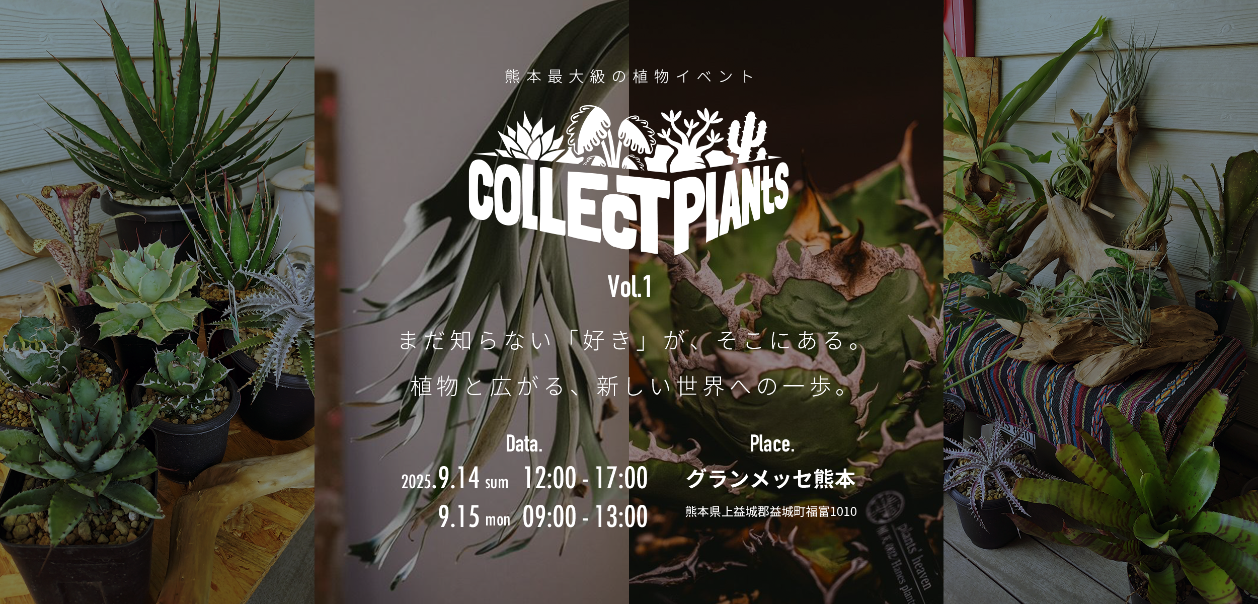 熊本最大級の植物イベント｜コレクトプランツ