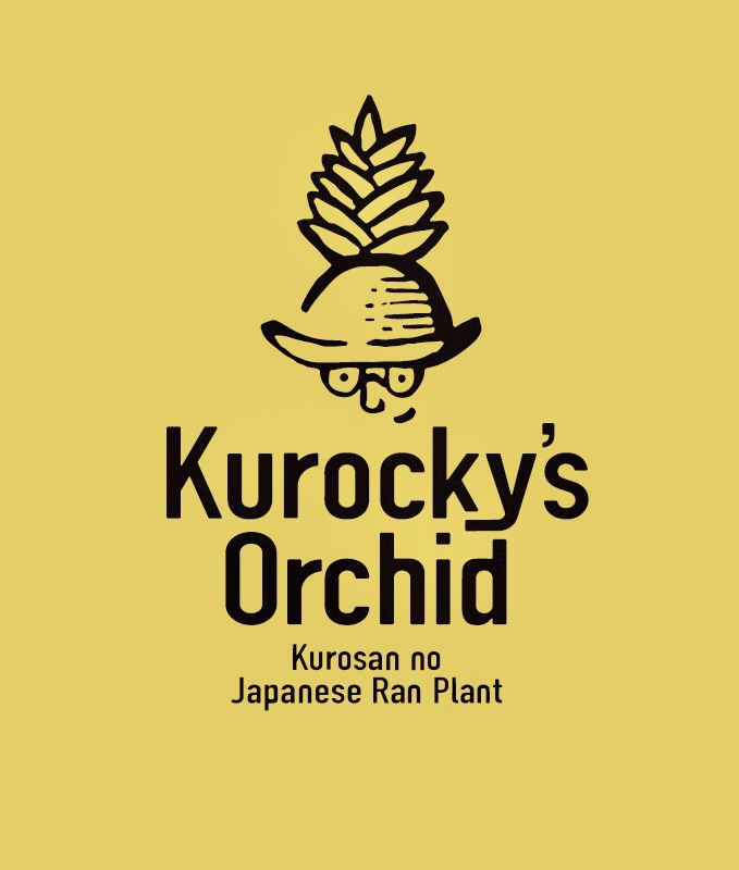 クロッキーズオーキッド