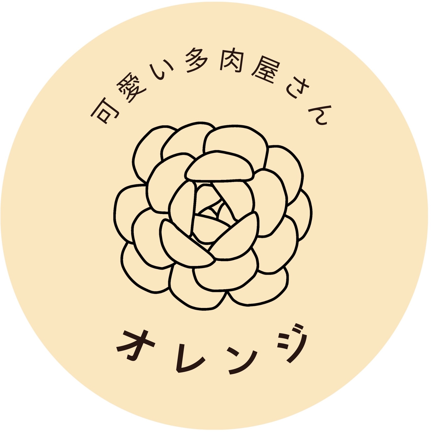 可愛い多肉屋さんオレンジ多肉植物　