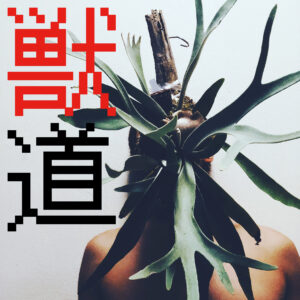 獣道