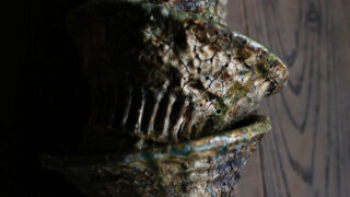 古賀文博 （14日のみ） - コレクトプランツ