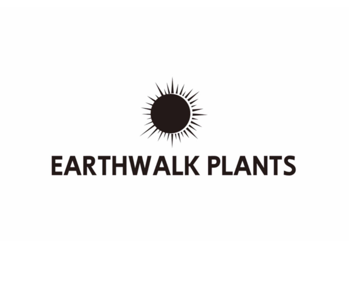 EARTHWALK PLANTS 