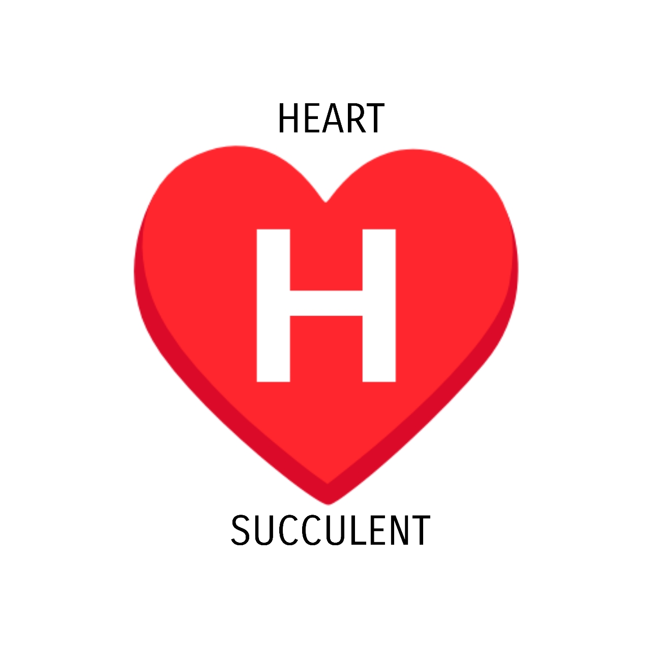 HEART❤️SUCCULENT 