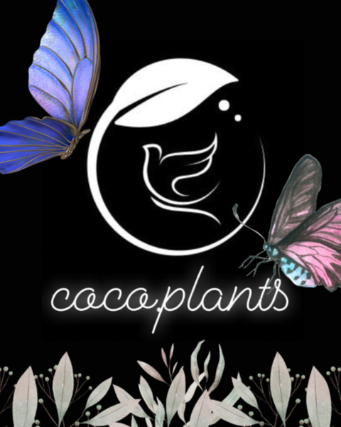 coco.plants