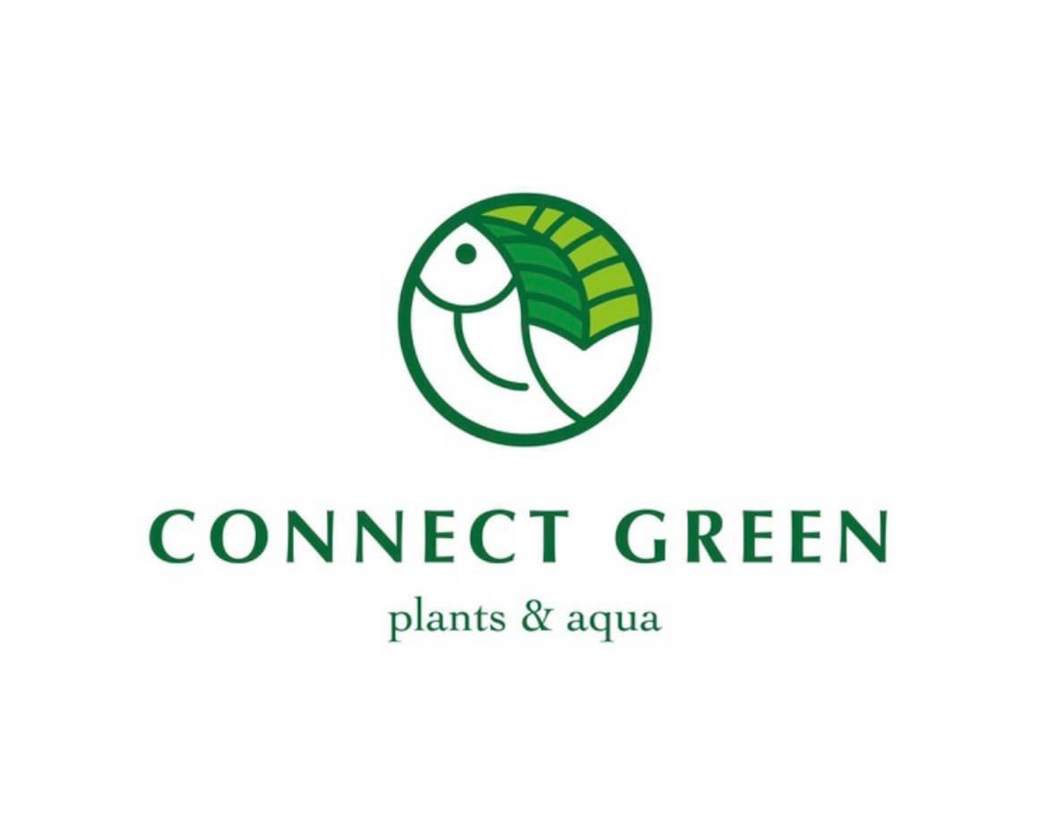 connect green