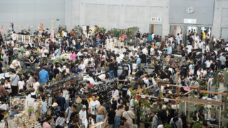 Collect Plants Vol.1 ご来場ありがとうございました - コレクトプランツ